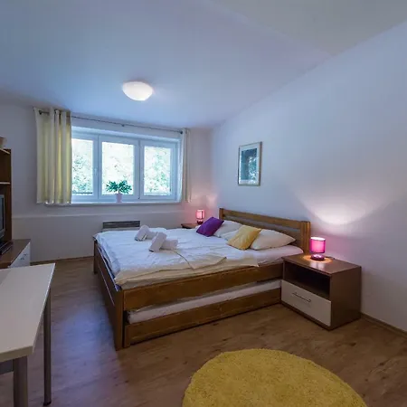 Apartman Lipno 20