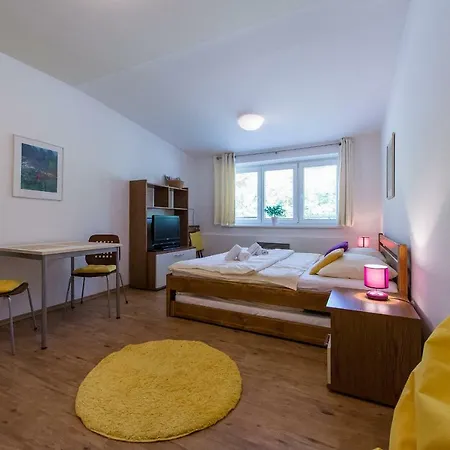 Apartman Lipno 20