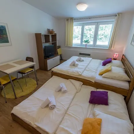 Apartment Lipno 20